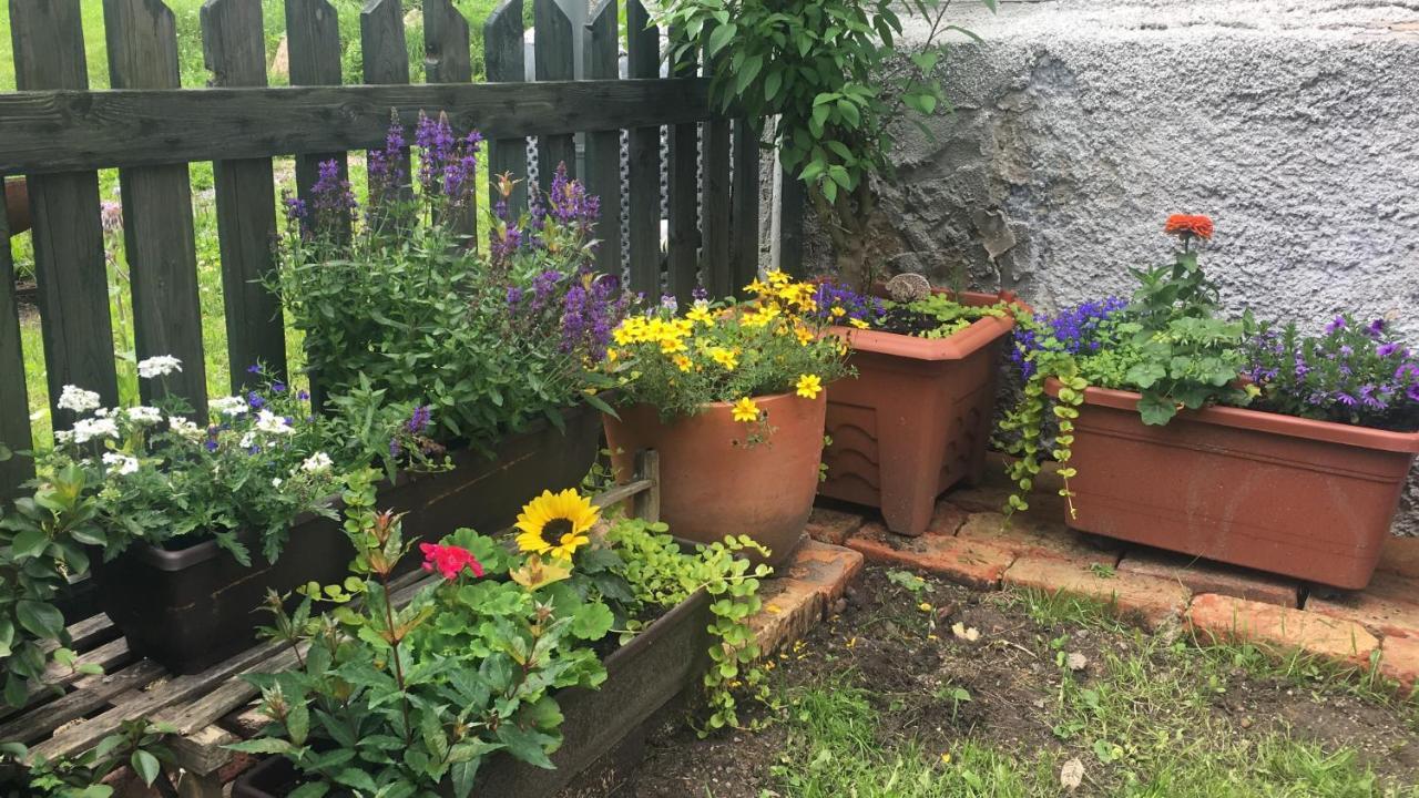 Ferienwohnung Hajovna Svahova Bolebor Exterior foto