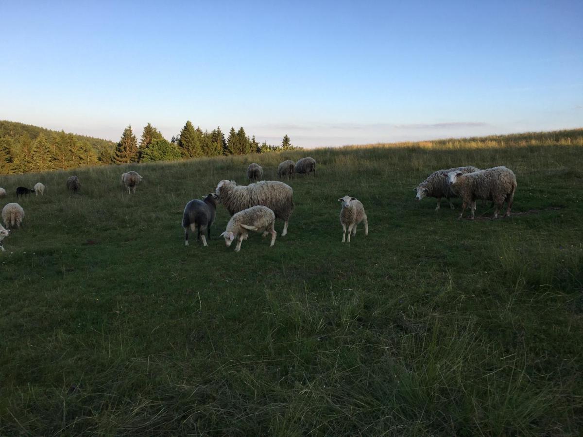 Ferienwohnung Hajovna Svahova Bolebor Exterior foto